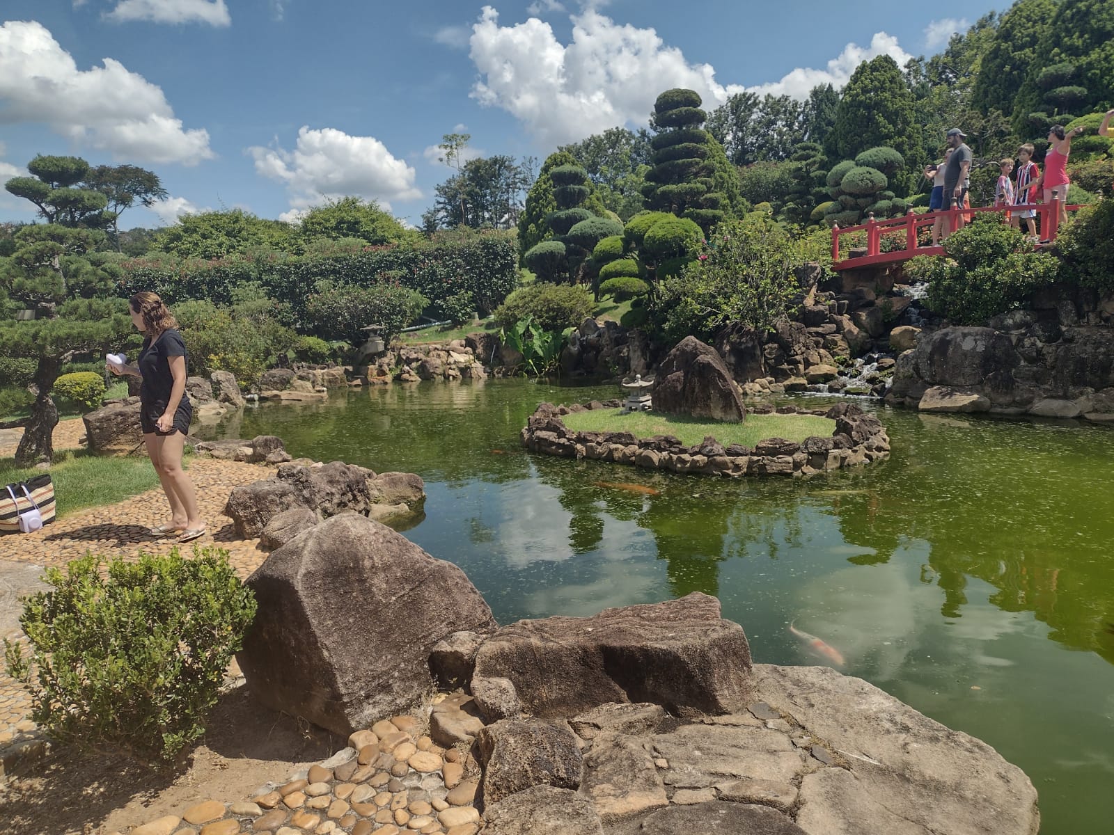 Imagem do WhatsApp de 2025-01-26 à(s) 15.58.24_23d826c5.jpg