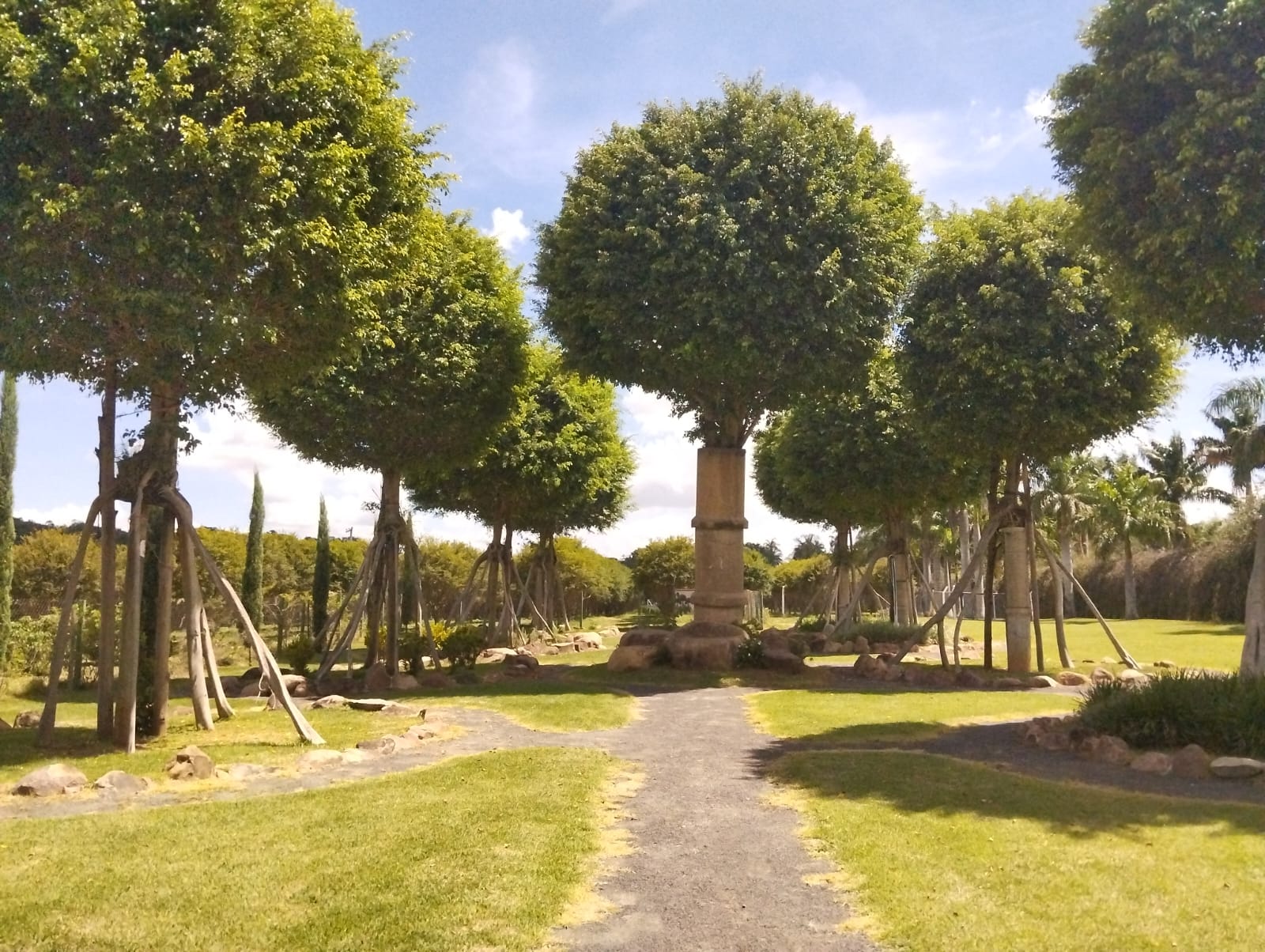 Imagem do WhatsApp de 2025-01-26 à(s) 15.58.25_4babf746.jpg