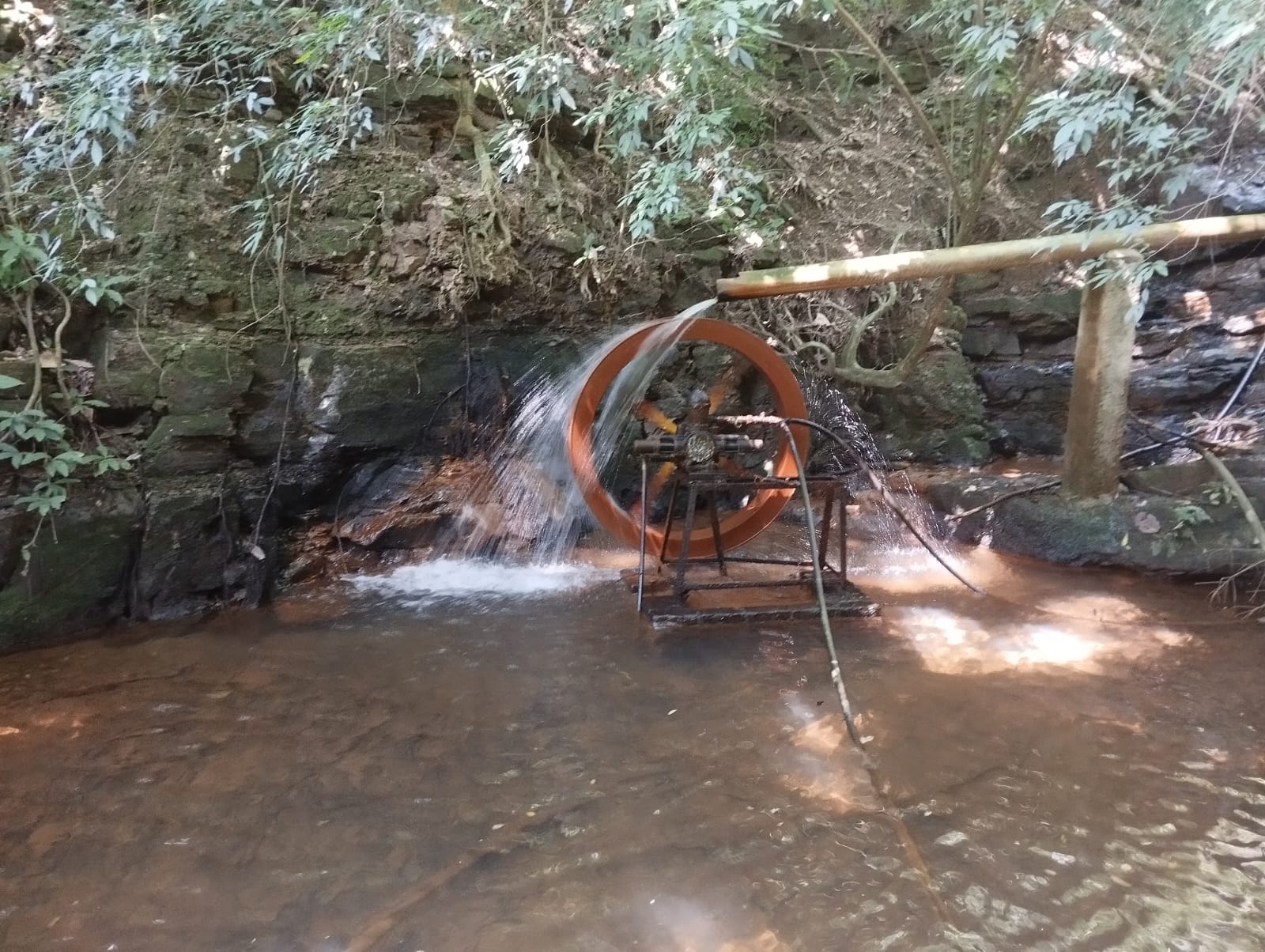 Imagem do WhatsApp de 2025-01-26 à(s) 15.58.26_36a694b2.jpg