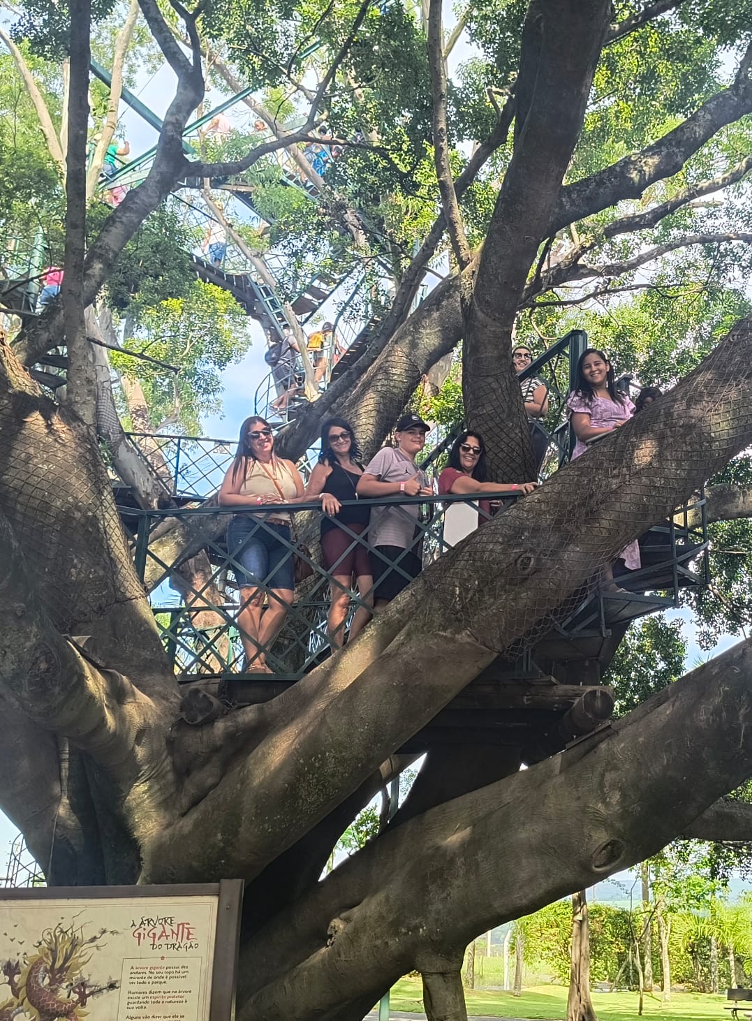 Imagem do WhatsApp de 2025-01-26 à(s) 15.58.26_fa670557.jpg